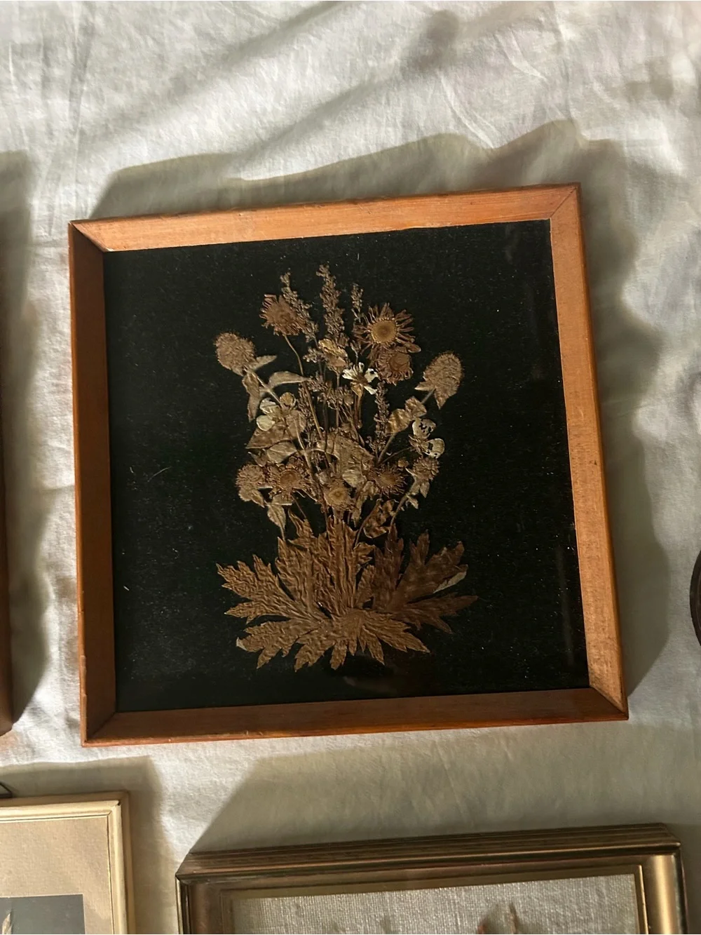 Vintage Framed Dried Floral Wall Art Collqge